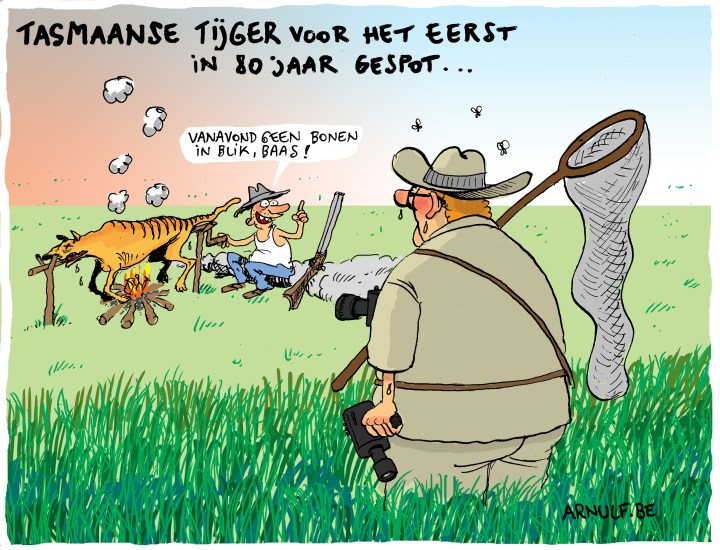 tasmaanse tijger.def
